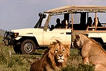 malindi and watamu kenya safaris